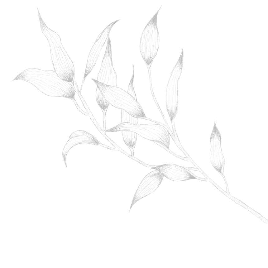 花イラスト