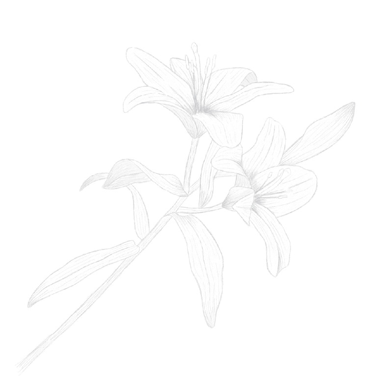 花イラスト