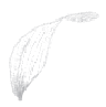 花びら
