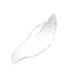 花びら